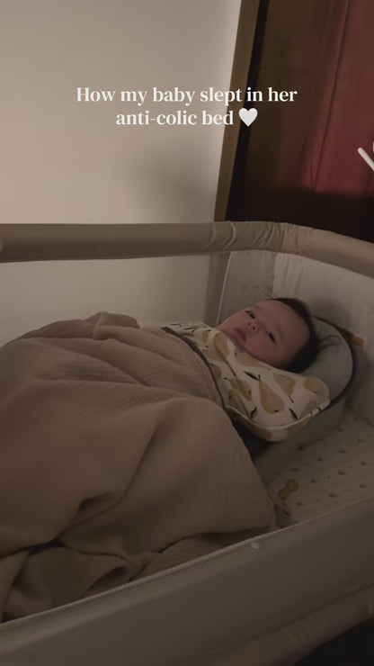 SnuggleNest - The Ultimate Baby Bed