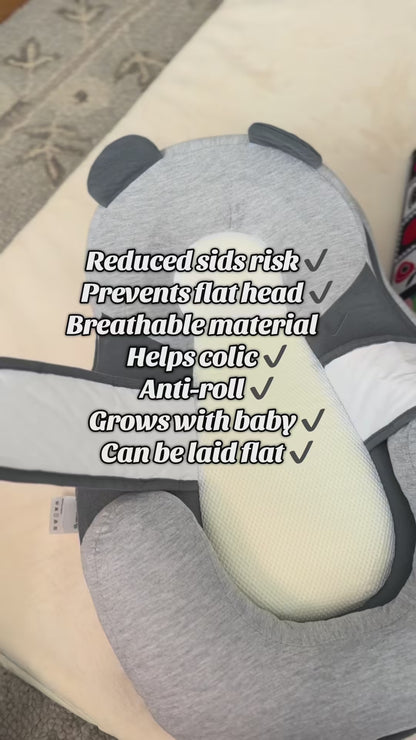 SnuggleNest - The Ultimate Baby Bed
