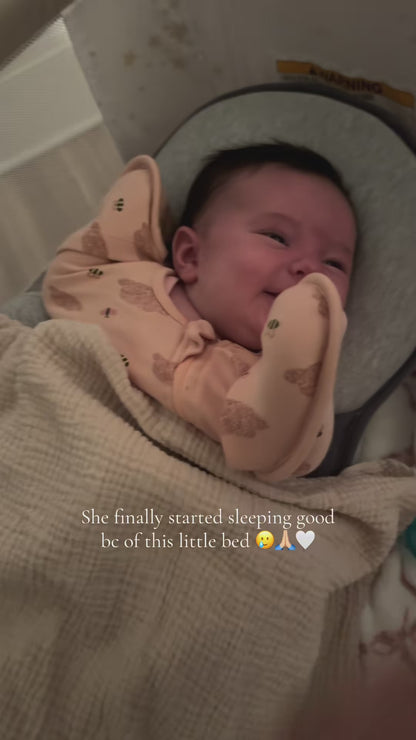 SnuggleNest - The Ultimate Baby Bed